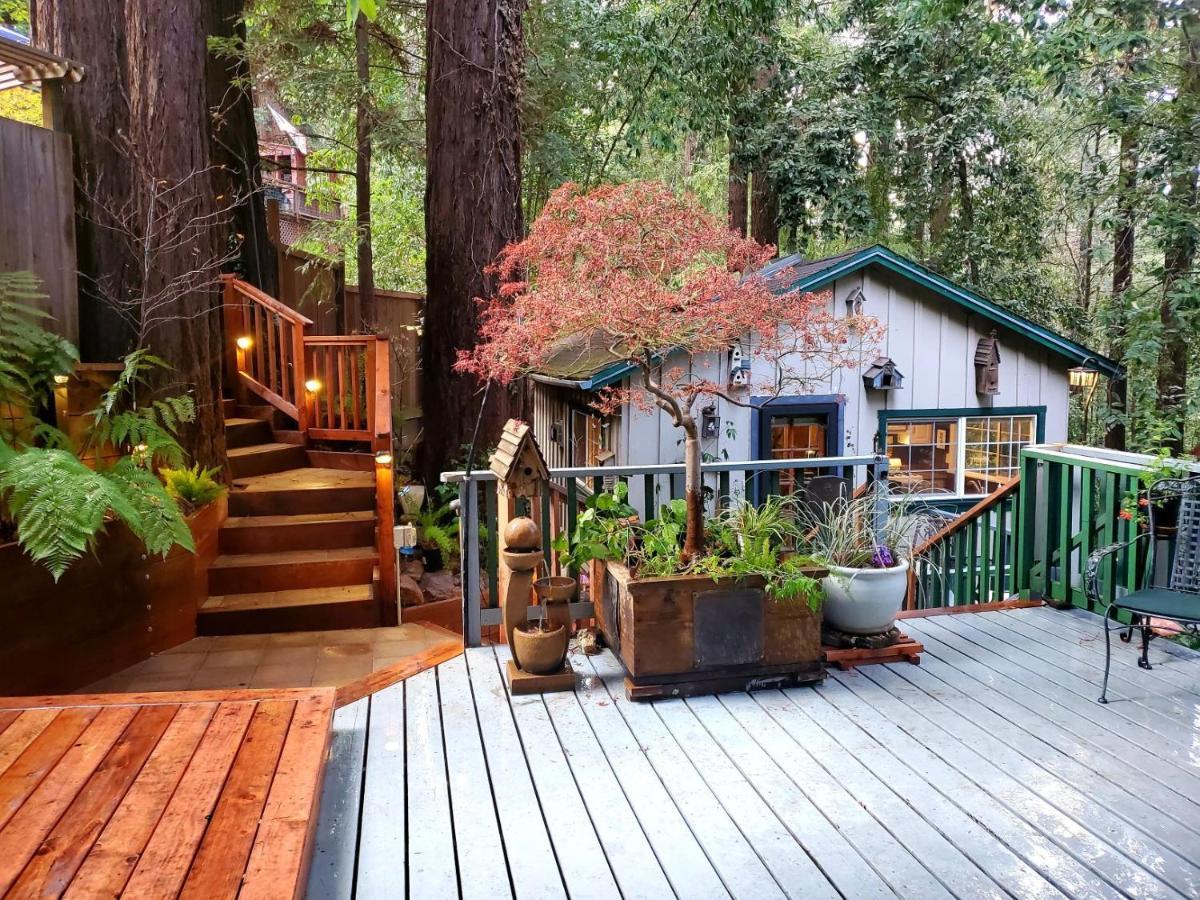 Guerneville Cottage! Redwoods! Hot Tub! Fire Table! Fast Wifi!! Serenity Defined! Exterior photo